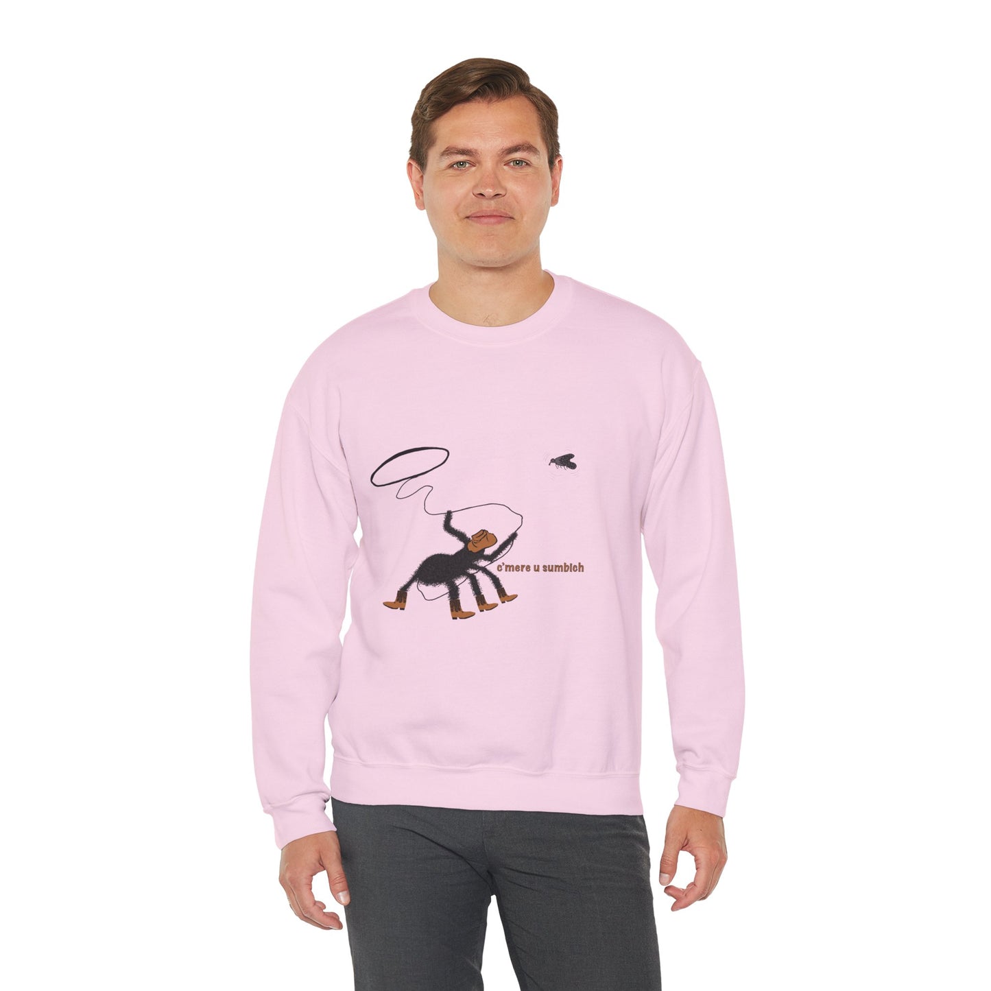 Cowboy Spider