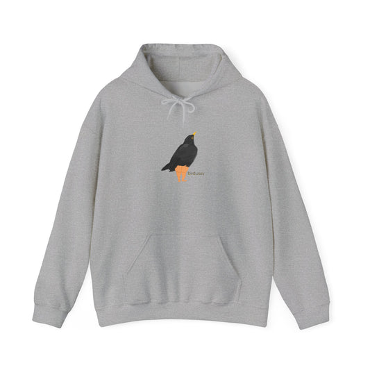 birdussy